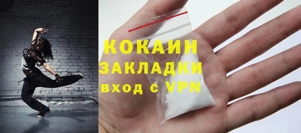 прущие грибы Санкт-Петербург
